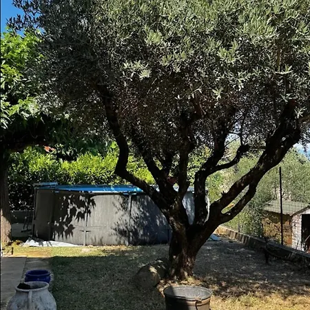 House With A View Of Mont Ventoux Feriehus Sauveterre (Gard)